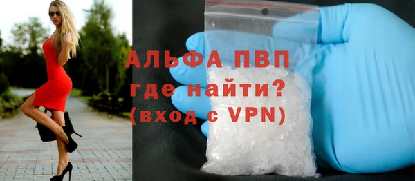 твердый Богданович