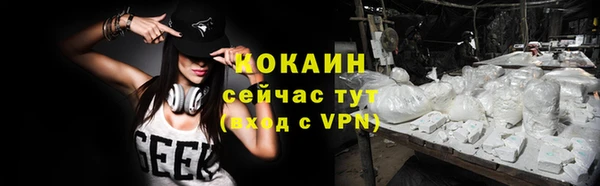 твердый Богданович