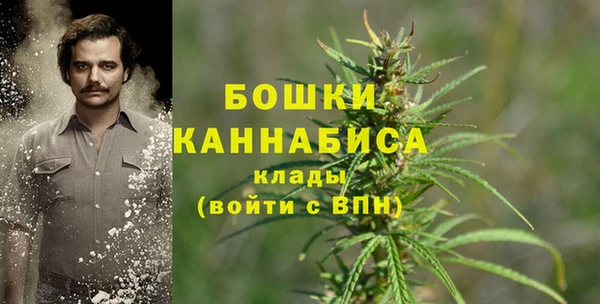 ГАЛЛЮЦИНОГЕННЫЕ ГРИБЫ Богородицк