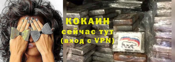 твердый Богданович