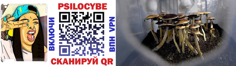 Псилоцибиновые грибы мухоморы  сколько стоит  hydra зеркало  Трёхгорный 